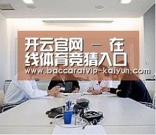 研发能力标题二