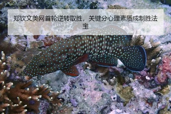 郑钦文美网首轮逆转取胜，关键分心理素质成制胜法宝
