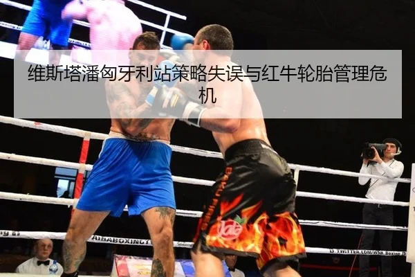维斯塔潘匈牙利站策略失误与红牛轮胎管理危机
