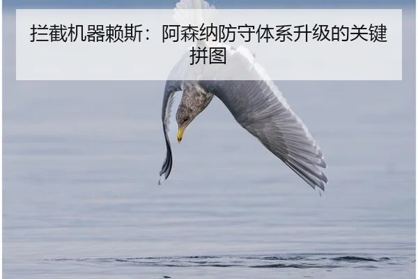 拦截机器赖斯：阿森纳防守体系升级的关键拼图