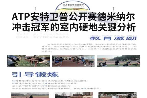 ATP安特卫普公开赛德米纳尔冲击冠军的室内硬地关键分析