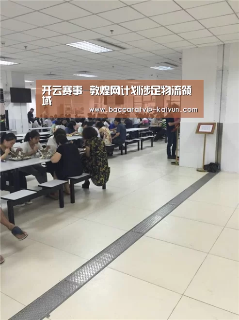 开云赛事-敦煌网计划涉足物流领域