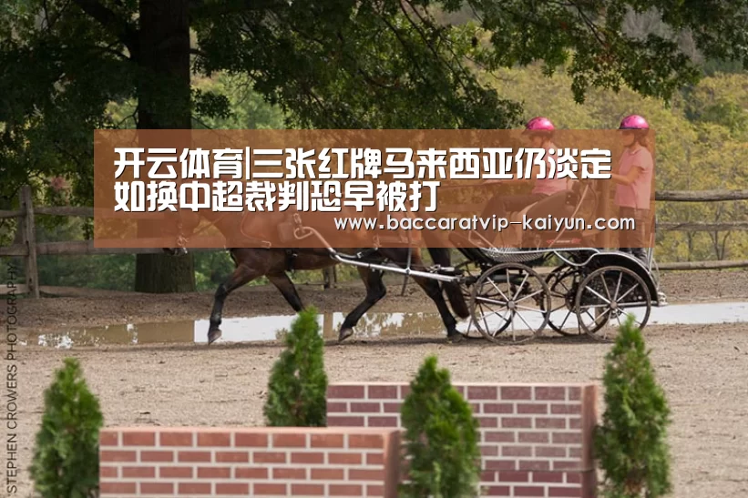 开云体育|三张红牌马来西亚仍淡定 如换中超裁判恐早被打