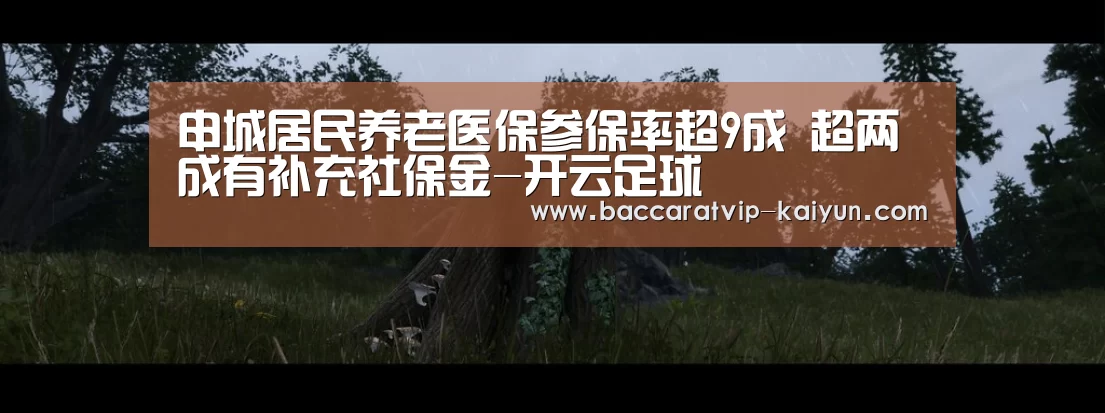 开云赛事