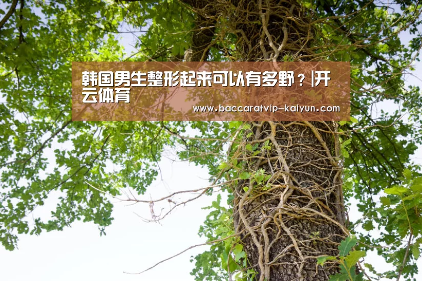 韩国男生整形起来可以有多野？|开云体育