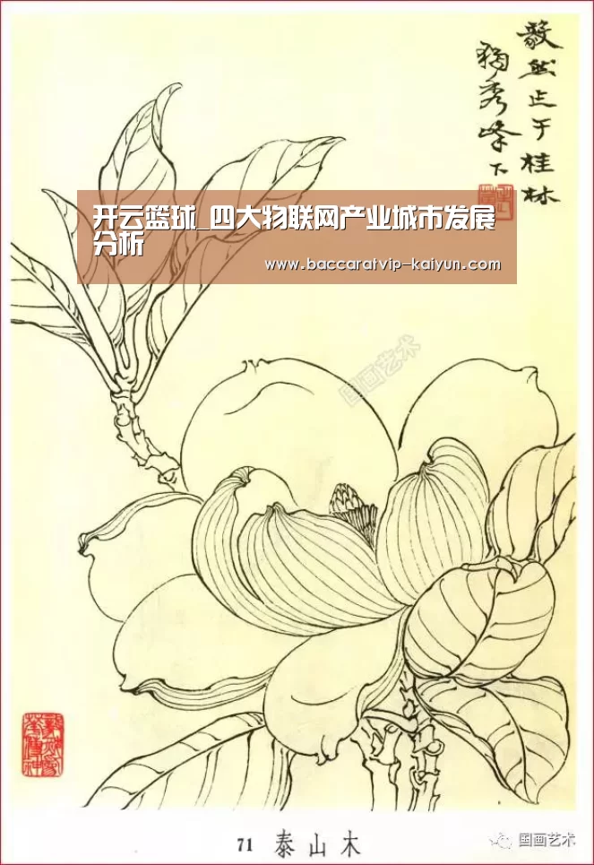开云篮球_四大物联网产业城市发展分析