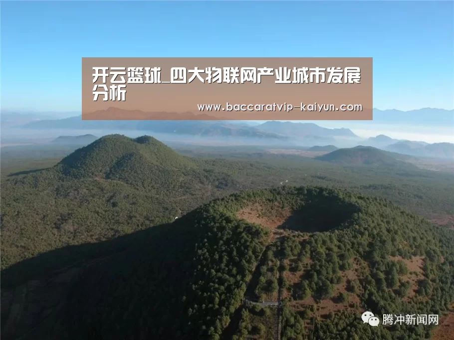 开云篮球_四大物联网产业城市发展分析(图4) 开云赛事
