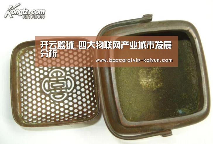 开云篮球_四大物联网产业城市发展分析(图3) 开云足球