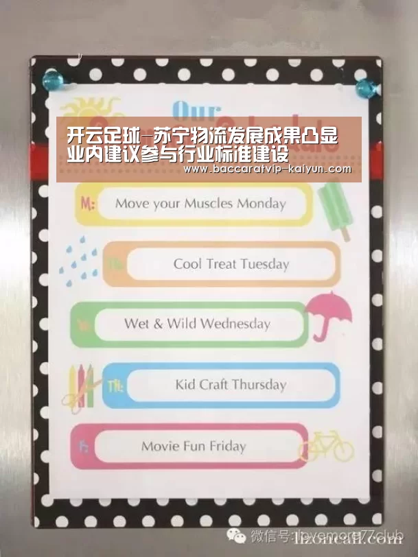 开云足球-苏宁物流发展成果凸显业内建议参与行业标准建设